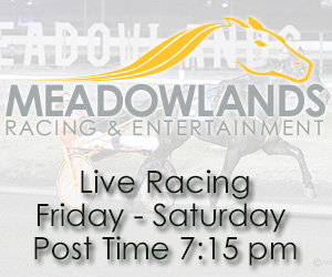 Meadowlands