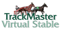 Virtual Stable